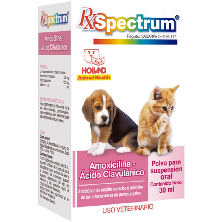 SPECTRUM AMOXICILINA ACIDO CLAVULANICO 30 ML