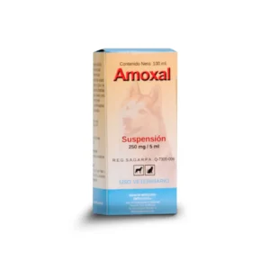 AMOXAL-250mg-5-ml-DIPROFAQ