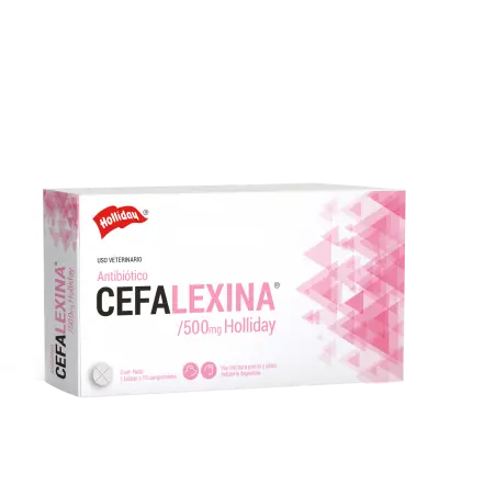 CEFALEXINA 500 MG COMPRIMIDOS 3X10 antibiotico holliday
