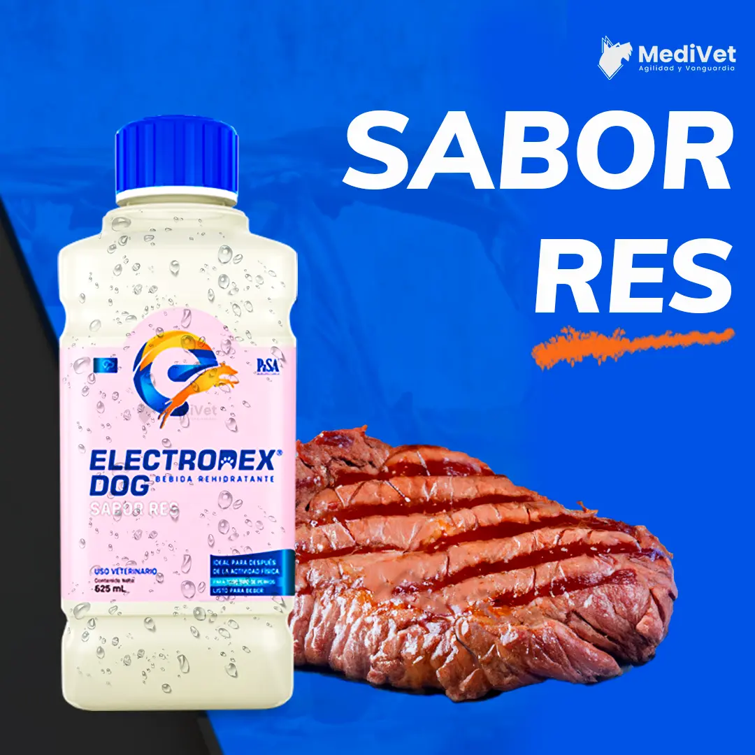 ELECTRODEX-SABOR-RES