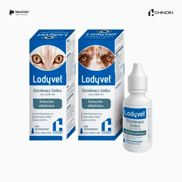 LODYVET OFT. GOTERO 5 ML para el tratamiento de la conjuntivitis, blefaritis,queratoconjuntivitis, úlceras corneales superficiales en perros y gatos. Medivet Puebla